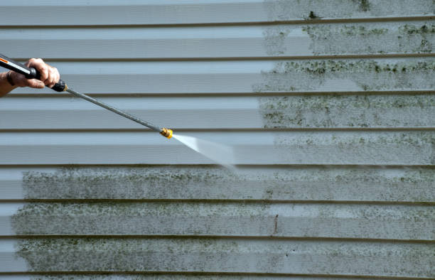 Trusted Reidsville, GA Pressure Washing Services Experts